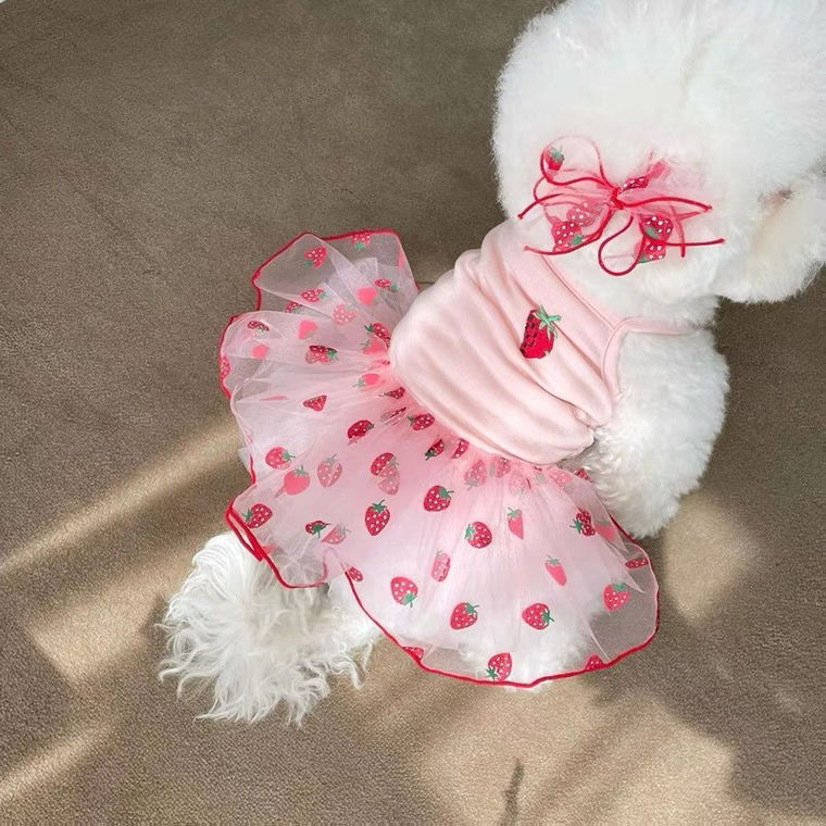 New Dog Clothes Cute Mesh Strawberry Strap Dress