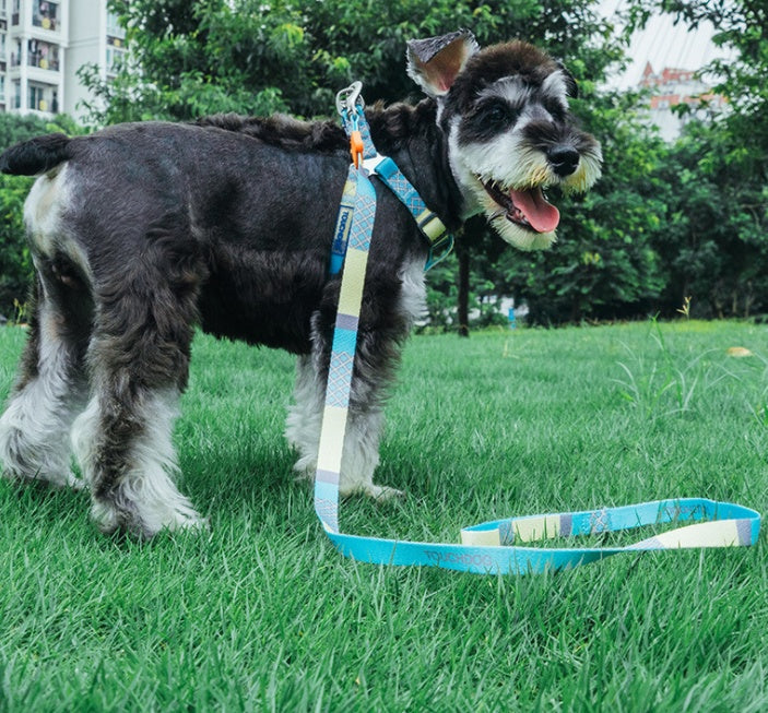 Touch dog it''s new heat transfer printing traction rope chest back collar dog rope walking dog artifact traction outdoor belt