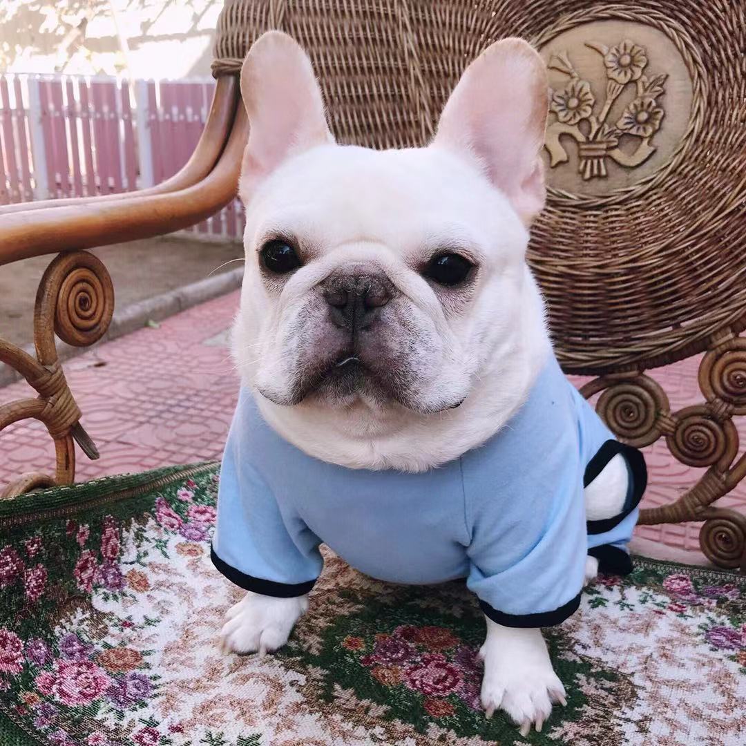 Fat Dog Four-Legged Cotton Printed Pajamas