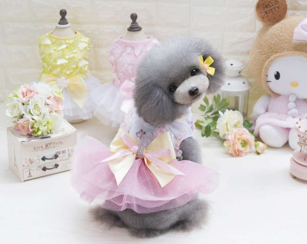 Teddy dog pet dress