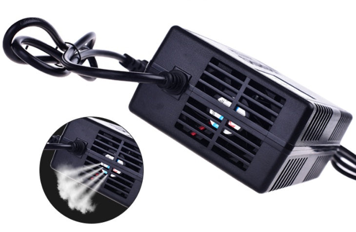Electric Car Battery charger 48V