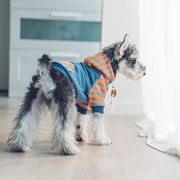 Dog clothes hooded