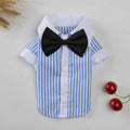 Breathable spring and summer pet clothing