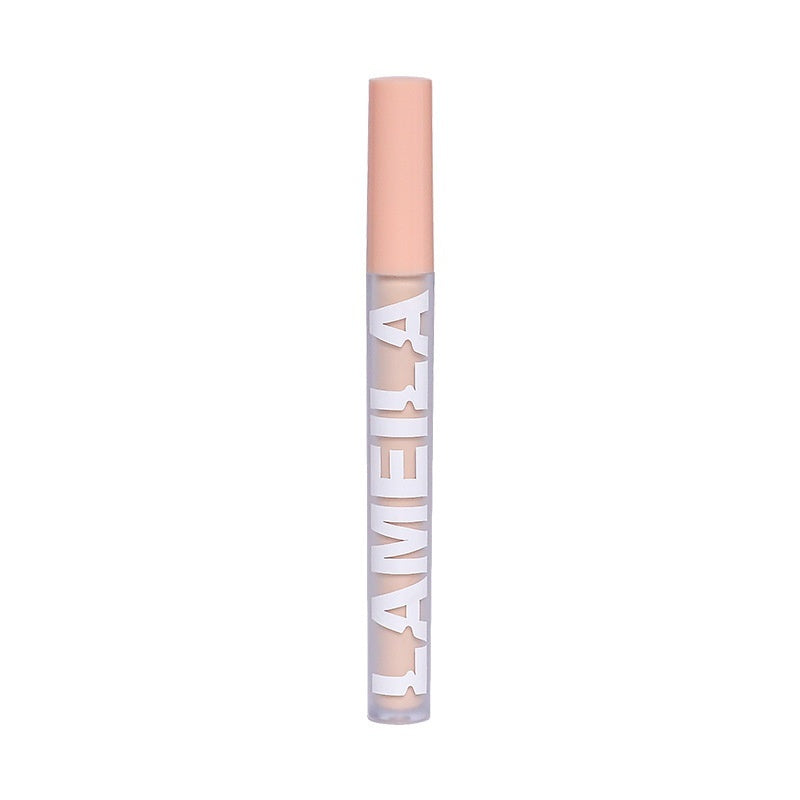 Concealer Cover Fleck Acne Dark Circles