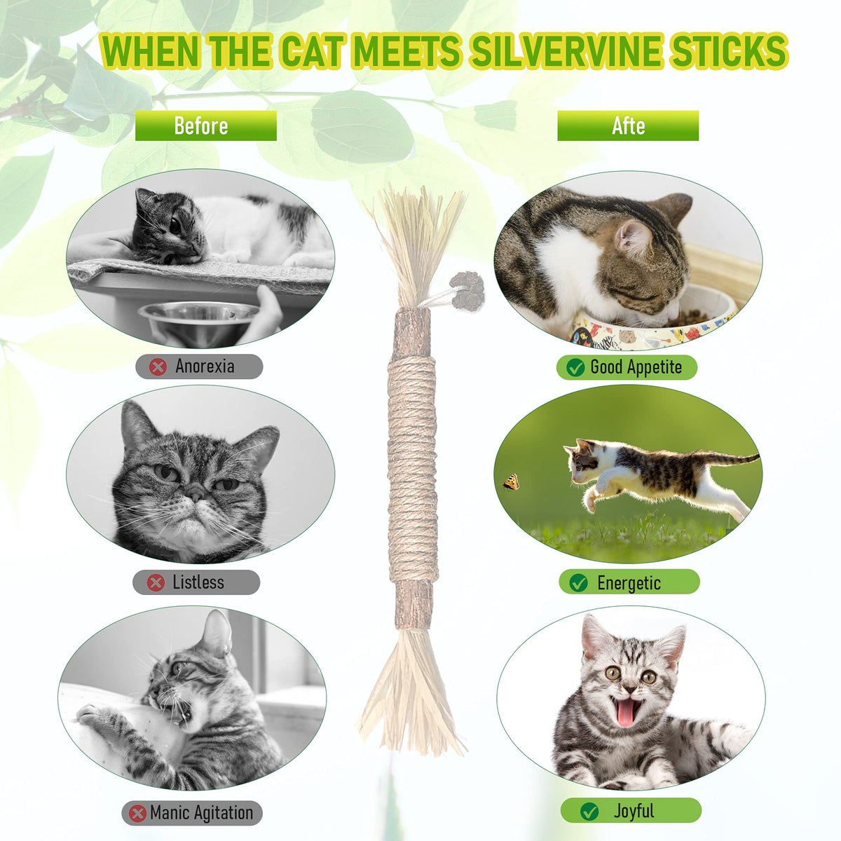 Silvervine Sticks Cat Chew Toys For Indoor Cats Dental Care Teeth Cleaning, Natural Kitten & Cat Teething Toys For Health, Cat Chew Stick Suitable For All Breeds Of Aggressive Chewers Cat