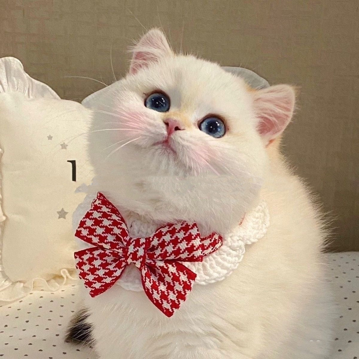 Winter Knitted Pet Collar And Neck
