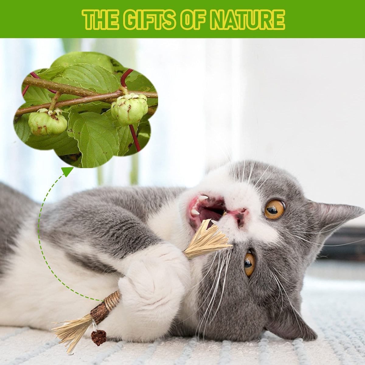 Silvervine Sticks Cat Chew Toys For Indoor Cats Dental Care Teeth Cleaning, Natural Kitten & Cat Teething Toys For Health, Cat Chew Stick Suitable For All Breeds Of Aggressive Chewers Cat