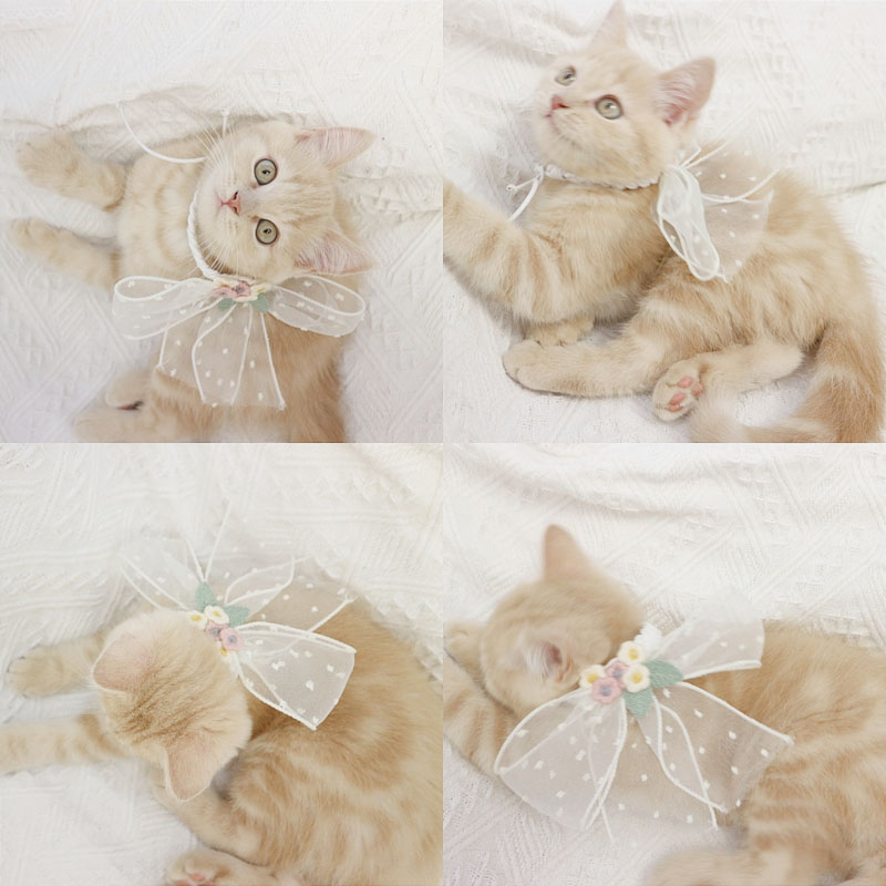 Pet Original Small Dog Necklace Bow Jewelry