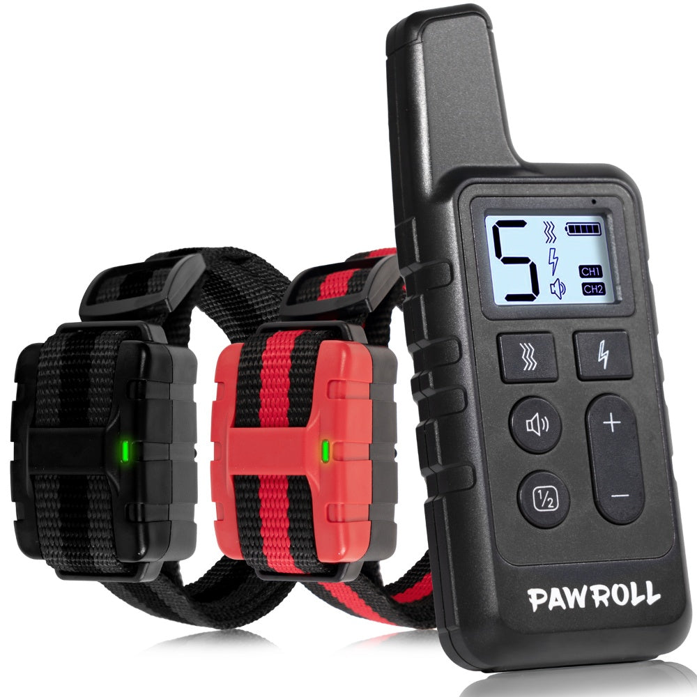 Dog Training Collar For 2 Dogs Black And Red