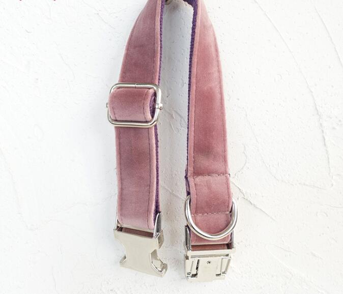 Pet Traction Collar Dog Collar