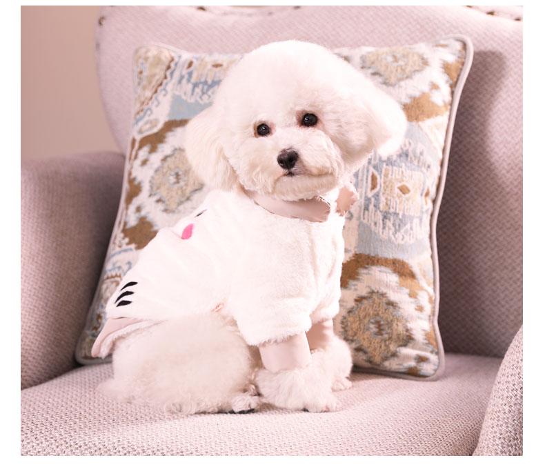 Pomeranian Bichon Teddy Clothes