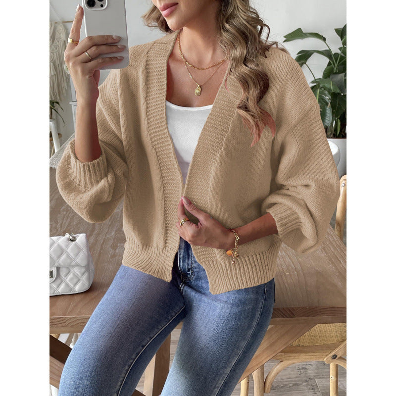 Women's Lantern Sleeve Simple Casual Short Sweater
