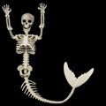 Halloween Skull Fish Skeleton Hanger 80cm - Realistic Spooky Decoration