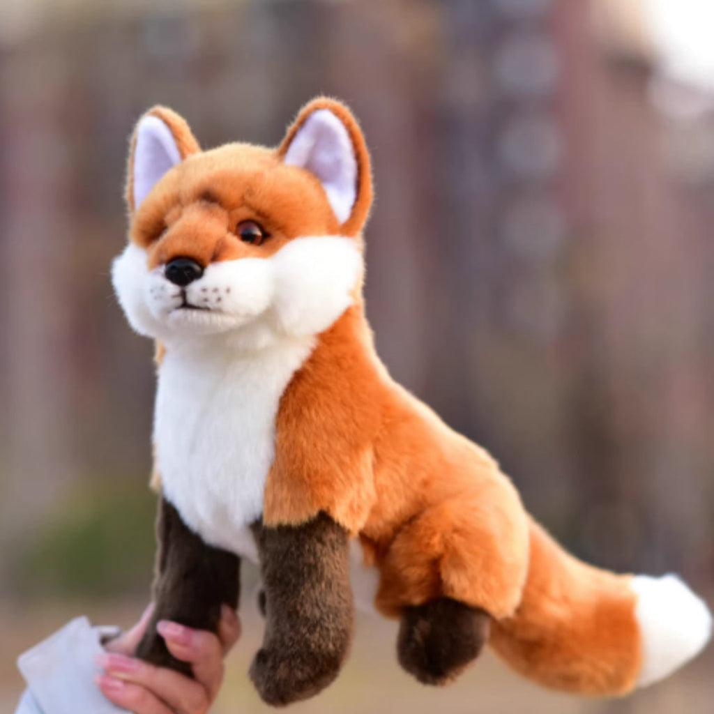 Plush Toys, Animal Dolls, And Plush Toys