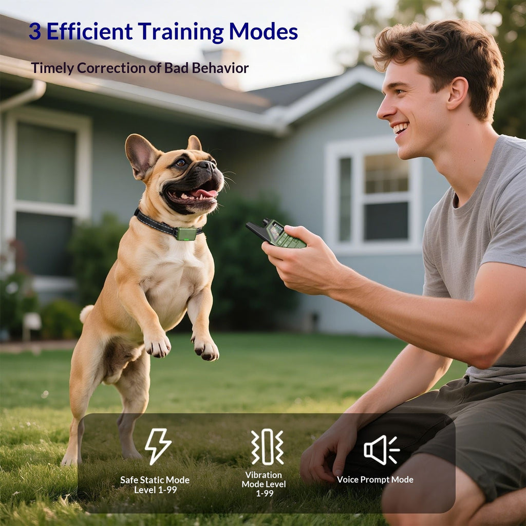 Remote Control Puppy Training Anti-bark Collar