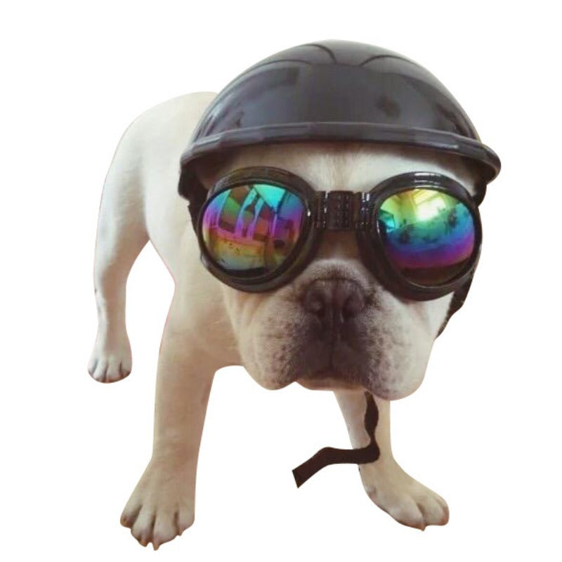 Dog Motorcycle Cap Plastic Helmet