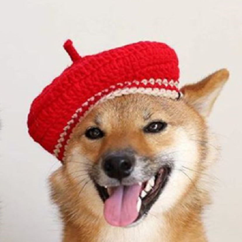 DIY Mini Mixed Color Hand-knitted Beret Cute Pet