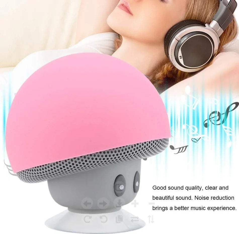Wireless Bluetooth Speaker with 30ft Range, Powerful Subwoofer & Suction Cup Mount