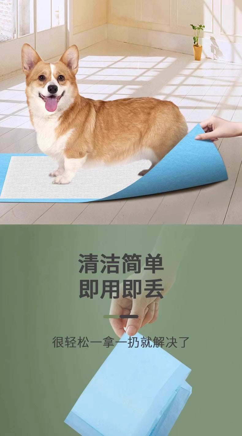Dog Pee Pads Cross-Border Shipping Pet Training Pee Pads Disposable Thickened Deodorizing Absorbent Diapers Wholesale
