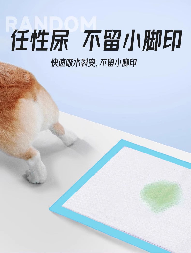 Cross-Border E-Commerce Dog Pee Pads, Thickened Deodorizing Disposable Diapers, Pet Urine-Absorbing Pads for Rabbits and Cats