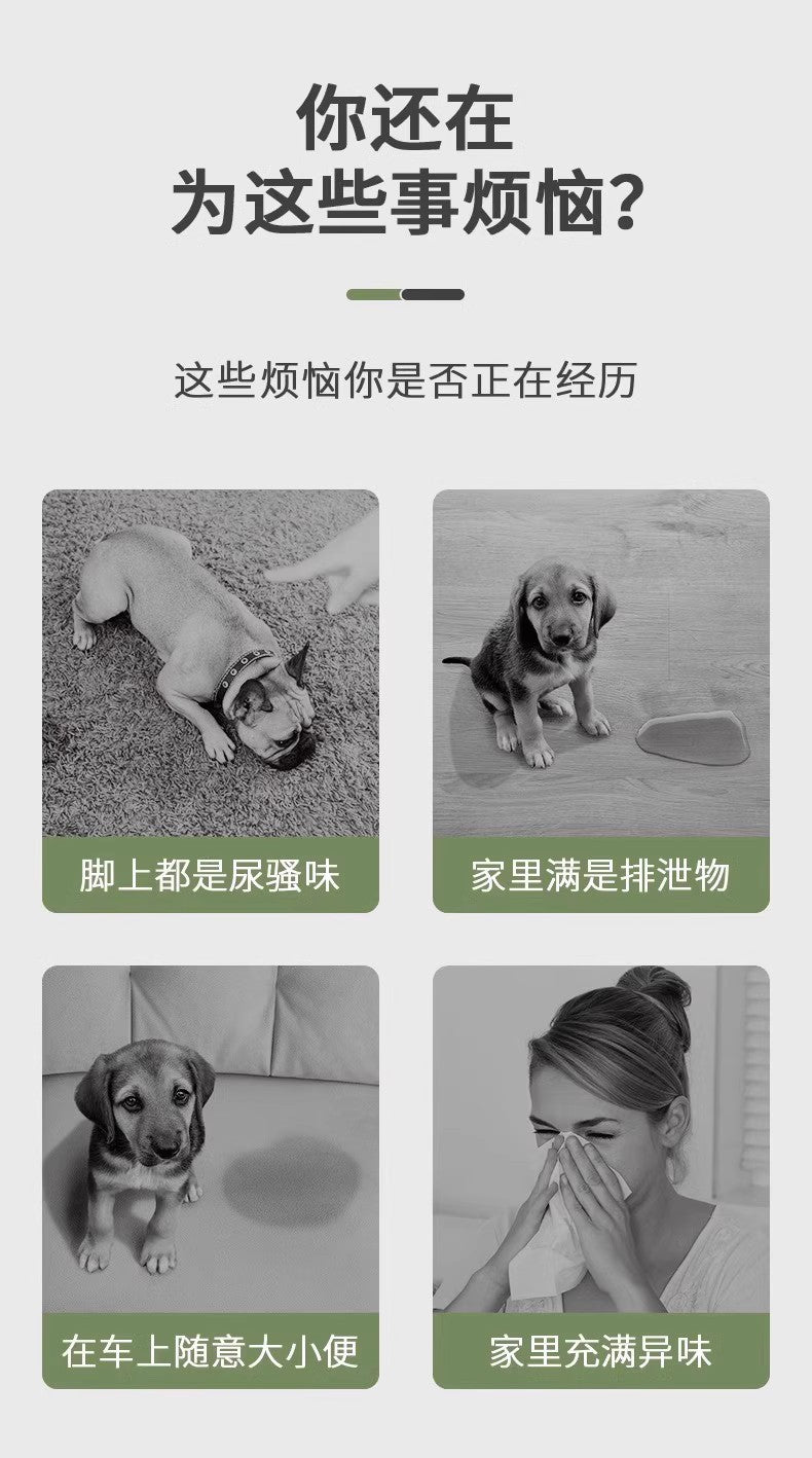 Thickened Bamboo Charcoal Deodorizing Pet Pee Pads, Absorbent Pads for Dogs and Cats, Suitable for Teddy Dogs, Available for Dropshipping