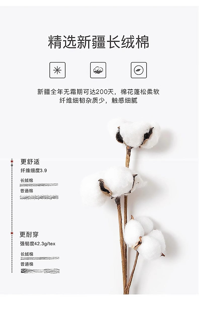 Early Spring Short Hooded Sweatshirt Jacket for Petite Women, Spring Outfit 2026 New Style, Regular Shoulder Cardigan for Spring and Autumn