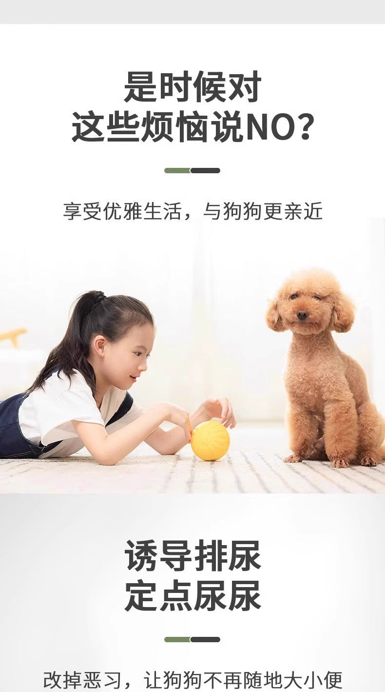 Dog Pee Pads Cross-Border Shipping Pet Training Pee Pads Disposable Thickened Deodorizing Absorbent Diapers Wholesale