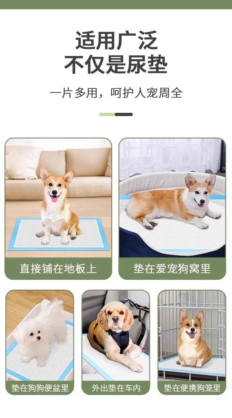 Pet Pee Pads, Thickened, Deodorizing, Absorbent, Dog Pee Pads, Cat Pee Pads, Teddy Toilet Disposable Diapers Wholesale