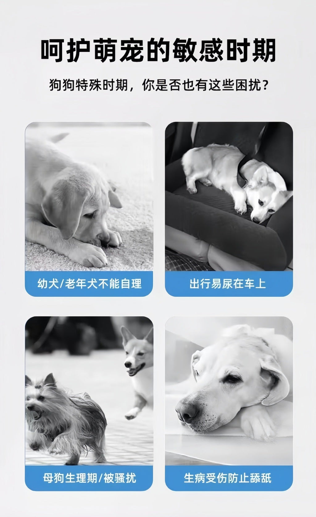 Specialized Pull-Up Pants for Female Dogs, Dog Diapers, Pet Diapers, Female Dog Physiological Pants, Dog Menstrual Pants
