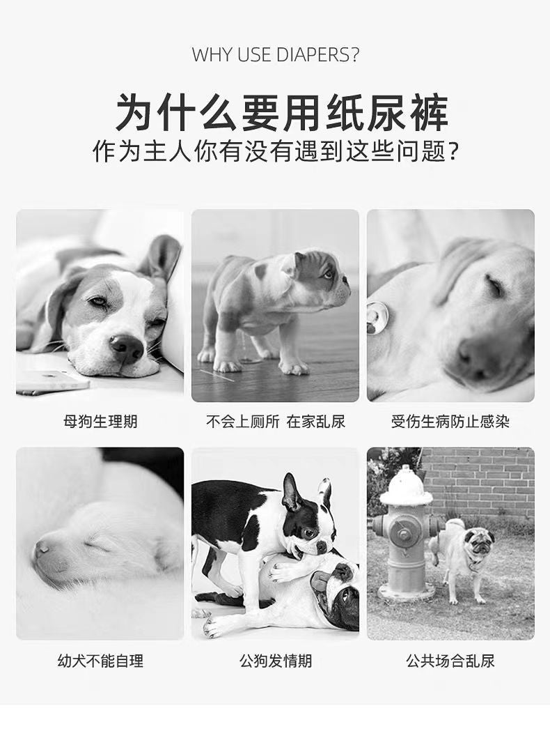 Pet dog diapers, universal diapers for male dogs, anti-urination belt, female dog physiological pants, puppy sanitary pants
