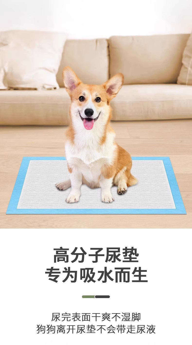 Pet Pee Pads, Thickened, Deodorizing, Absorbent, Dog Pee Pads, Cat Pee Pads, Teddy Toilet Disposable Diapers Wholesale