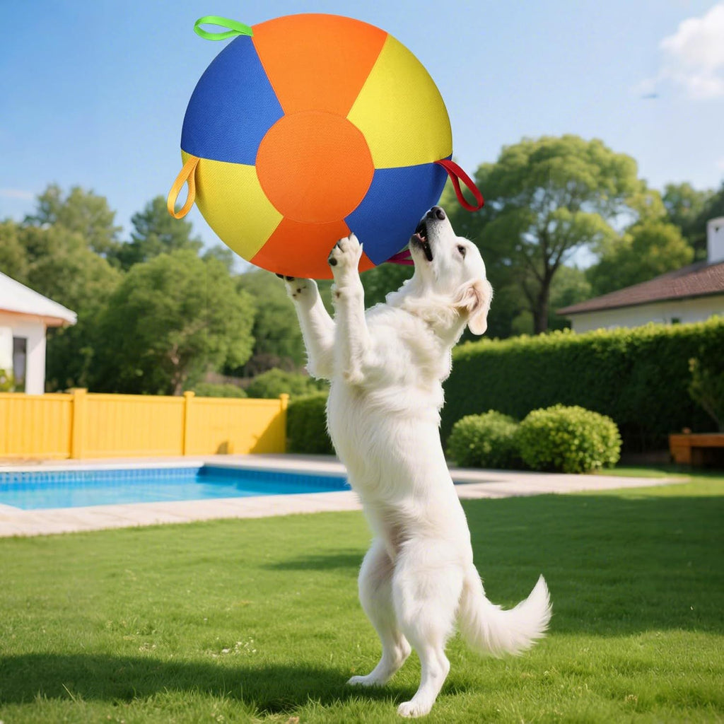 Cross-Border Sheep Horse Dog Herding Ball—Durable Solid Color Polyester Inflatable Training and Exercise Toy Pet Game Ball