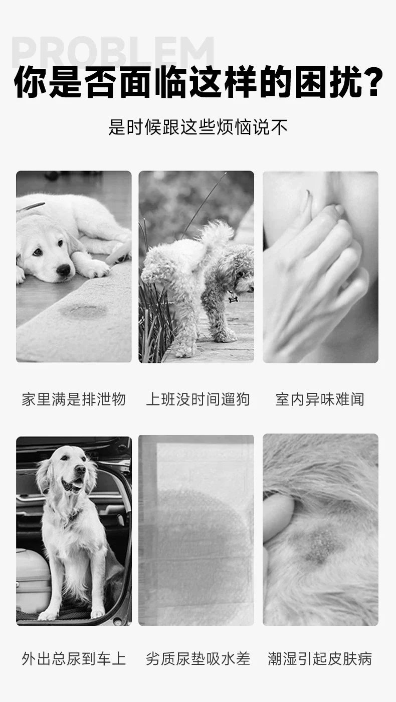 Cross-border pet urine pads for dogs, thickened, deodorizing, absorbent, urine-proof pads for puppies, cat toilet training disposable pads