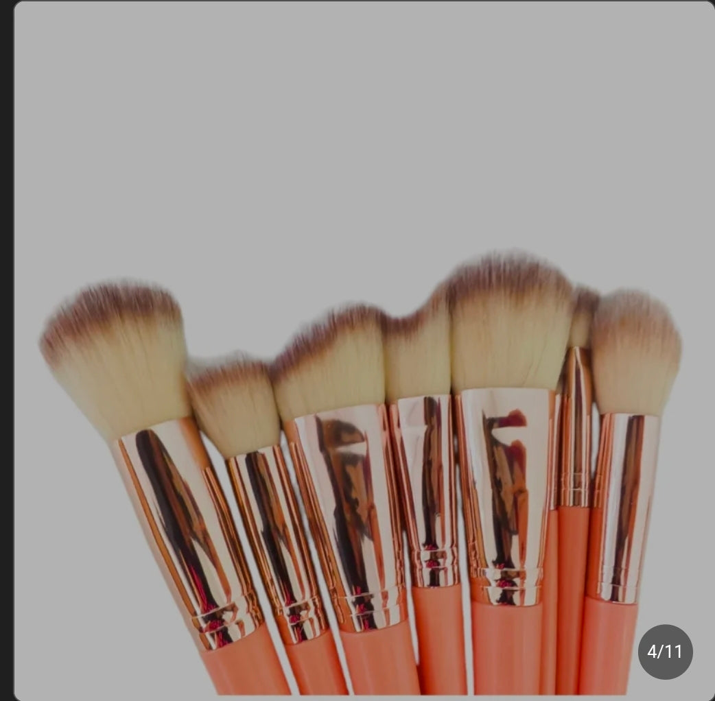 Professional Makeup Brush Set