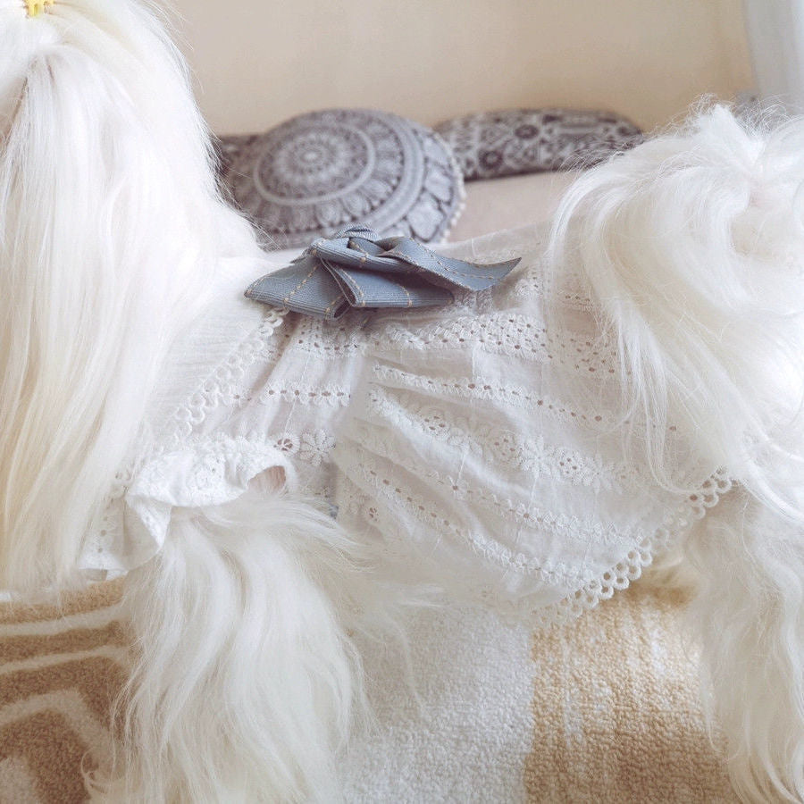 Summer Pet Cotton Little White Dress