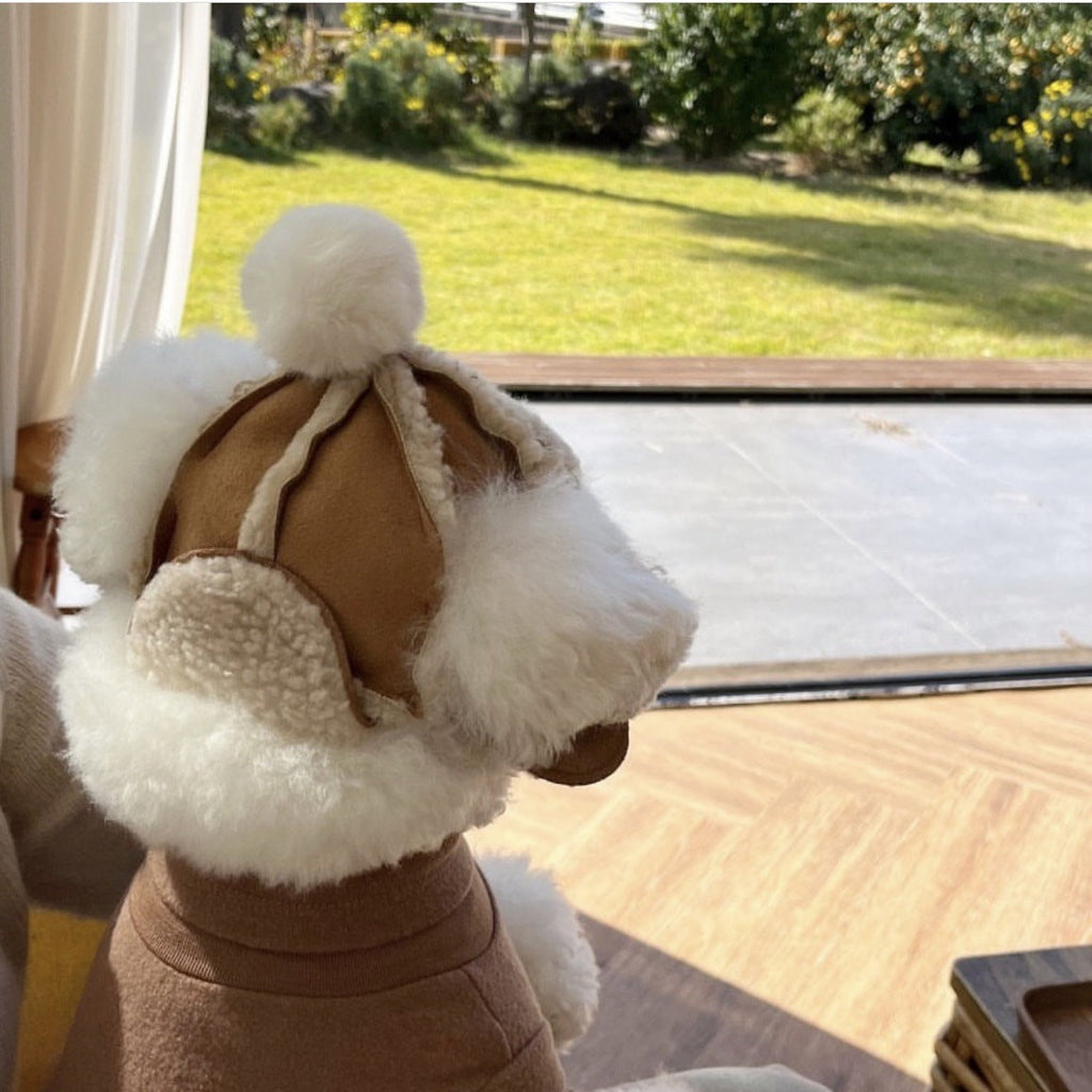 Fleece-lined Thermal And Windproof Lamb Fur Pet Hat