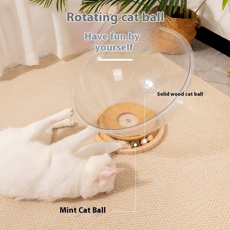 New Cat Space Capsule Bathtub Transparent Acrylic