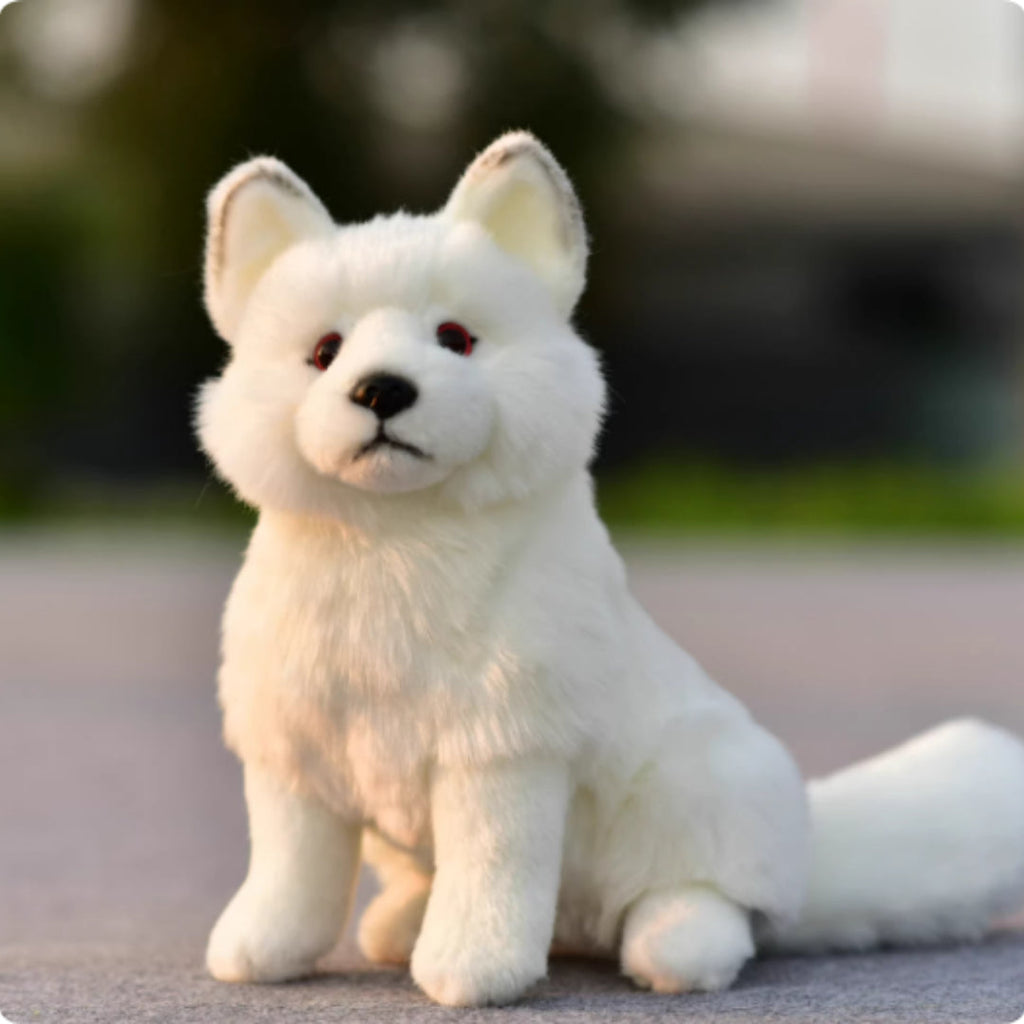 Plush Toys, Animal Dolls, And Plush Toys